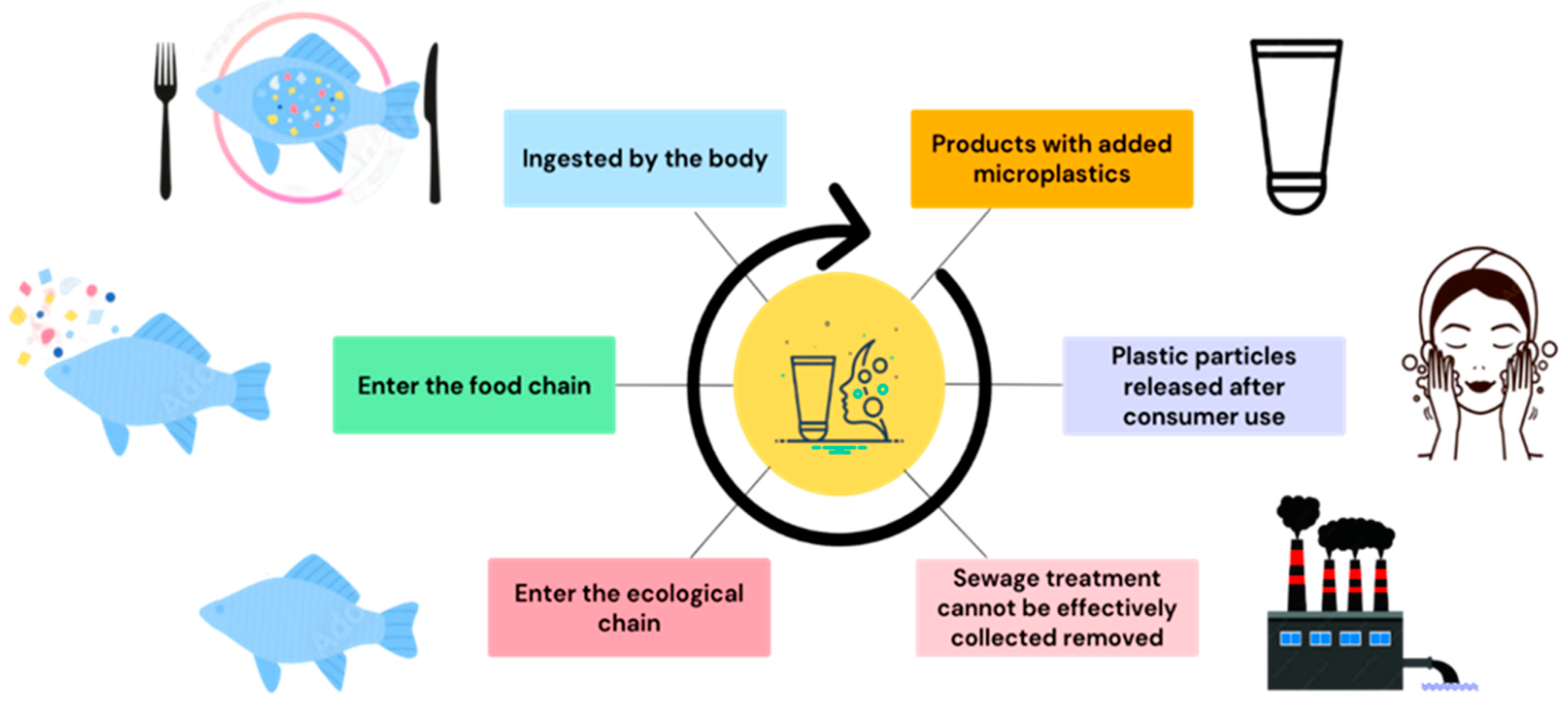 Trending 🇨🇦 Understanding Microplastics: A Catalyst for Innovation in Health and Environment
