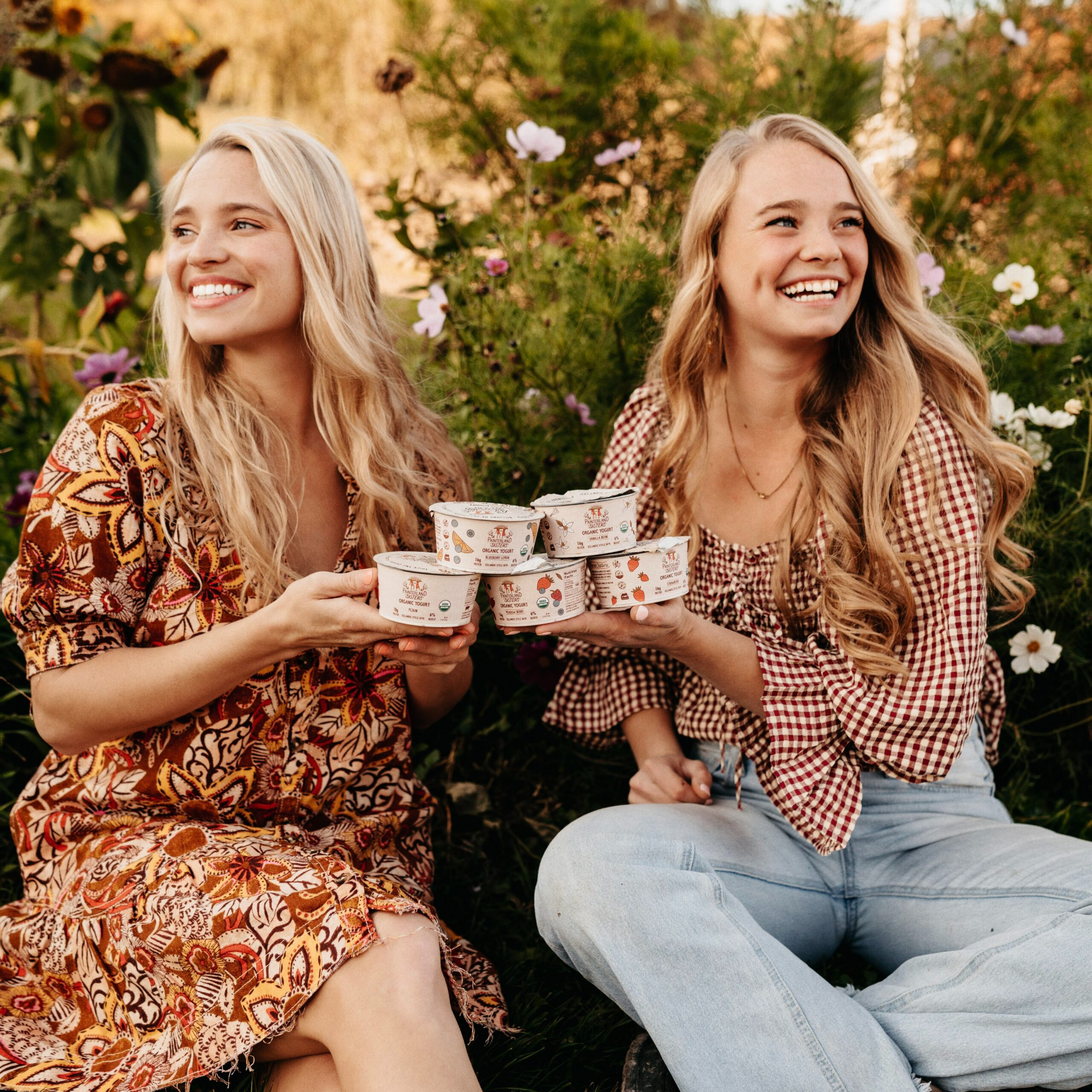 Painterland Sisters🚀Investor this week